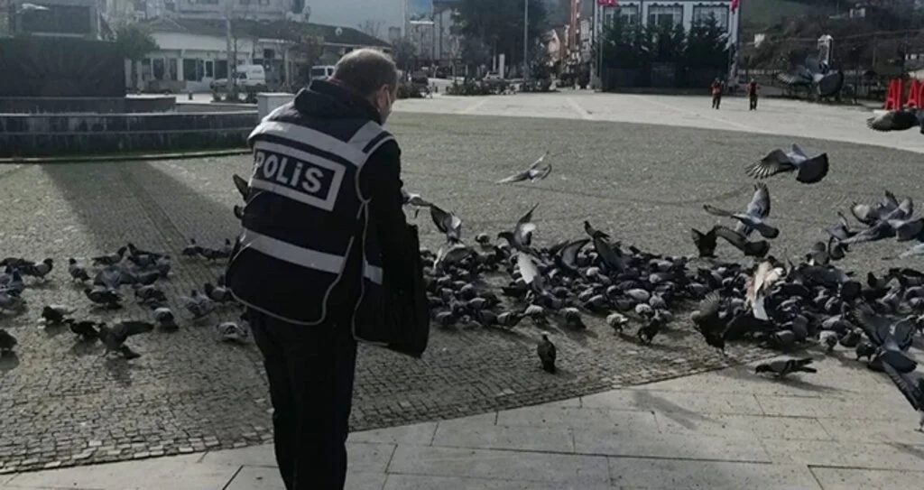 Alaçam'da aç kalan kuşlara polisler yem verdi