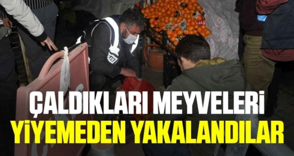 Çaldıkları meyveleri yiyemeden yakalandılar