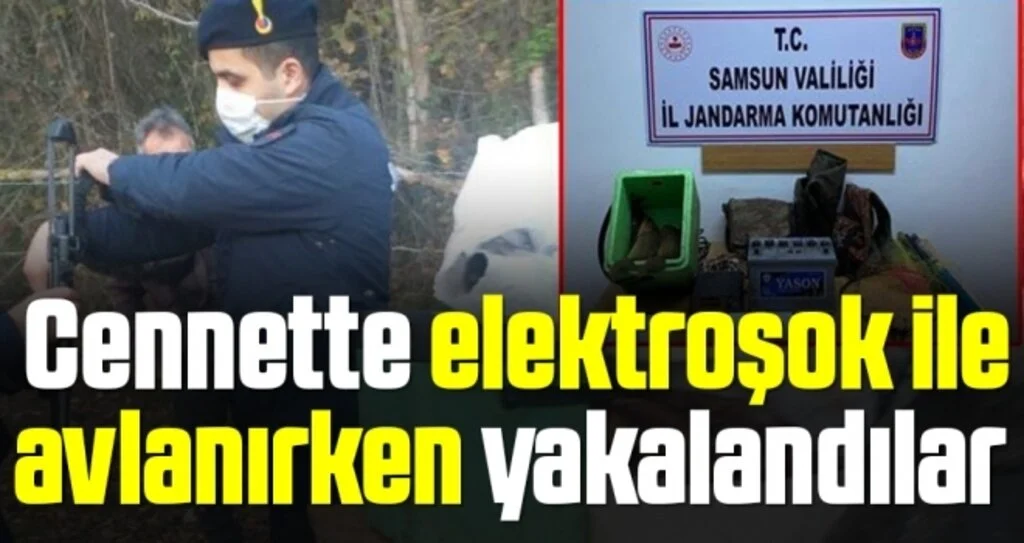 Cennette elektroşok ile avlanırken yakalandılar 