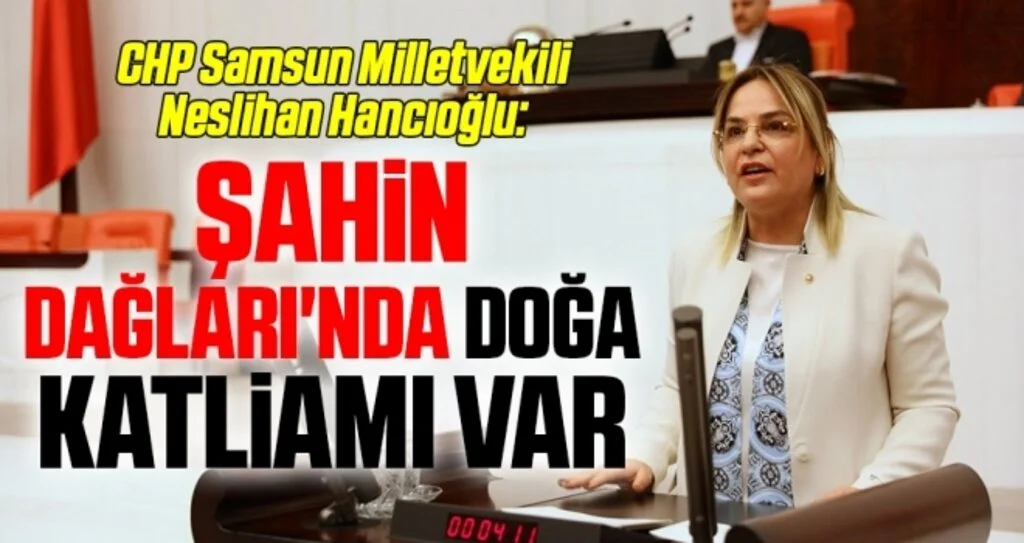 CHP Samsun Milletvekili Hancıoğlu: Şahin Dağları'nda Doğa Katliamı Var