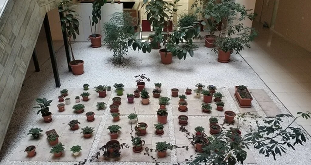 Çiçek bahçesi gibi adliye koridoru