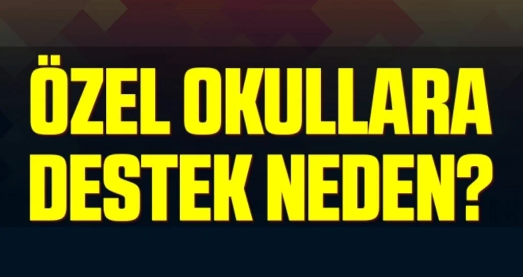 Eğitim Sen Samsun Şube Başkanı Topaloğlu: Özel okullara destek neden?
