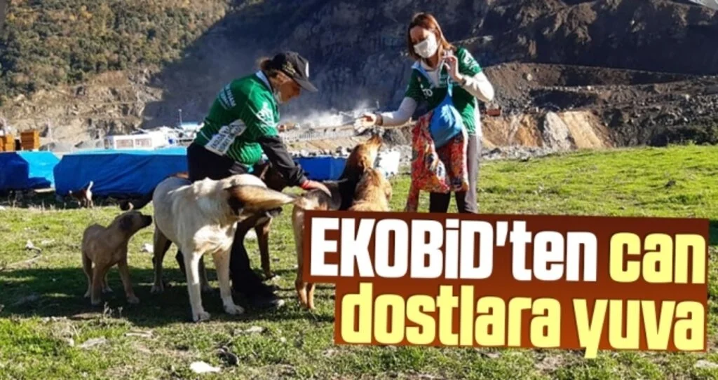 EKOBİD'ten can dostlara yuva 