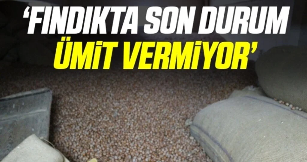 Fındıkta son durum ümit vermiyor