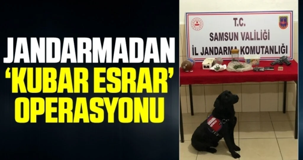 Jandarmadan ‘kubar esrar’ operasyonu