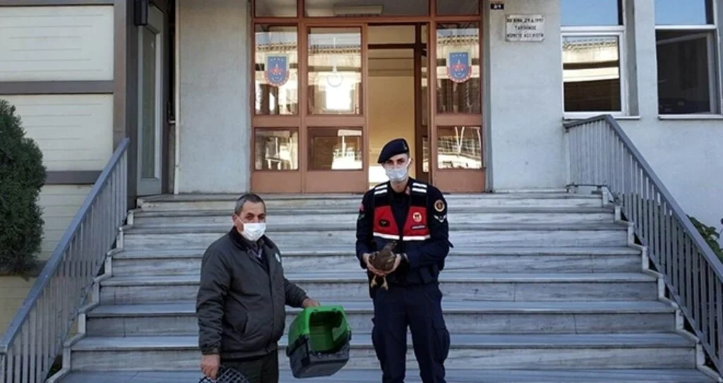 Jandarmadan örnek davranış