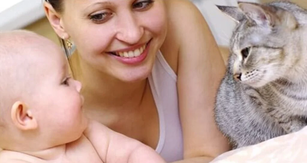 Kedi ve Köpeğe Alerjisi Olanlara Alerji Aşısı Yapılabiliyor