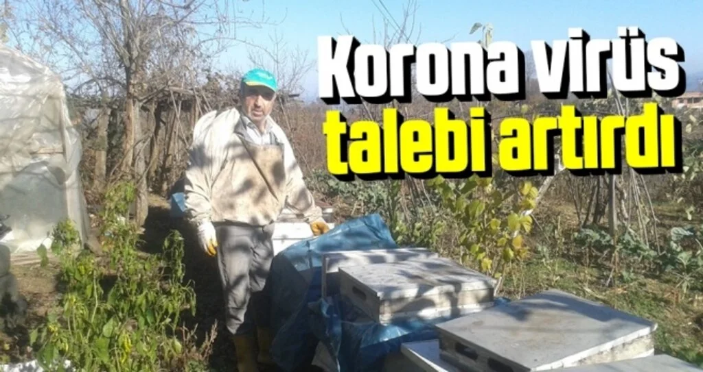 Korona virüs kestane balına talebi artırdı
