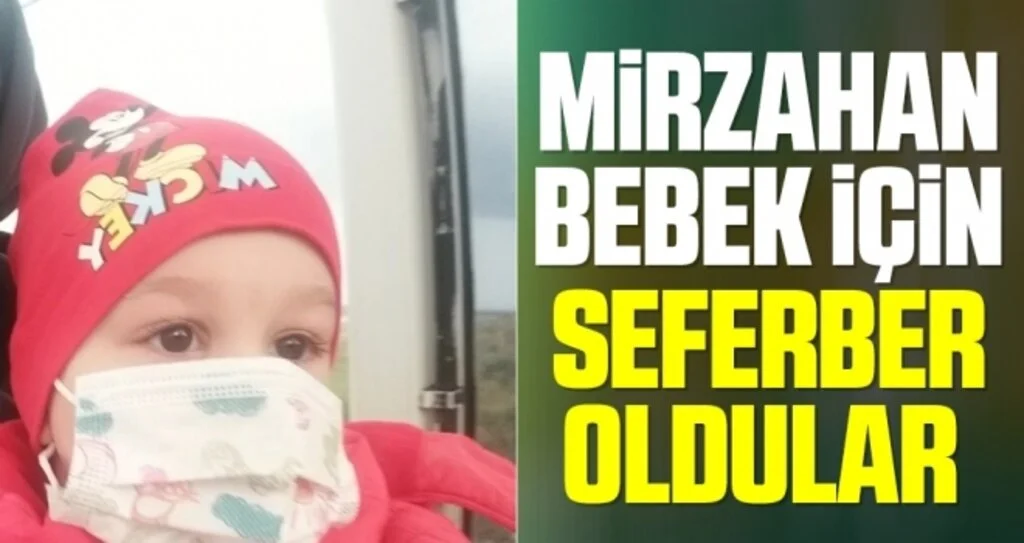 Mirzahan bebek için seferber oldular 