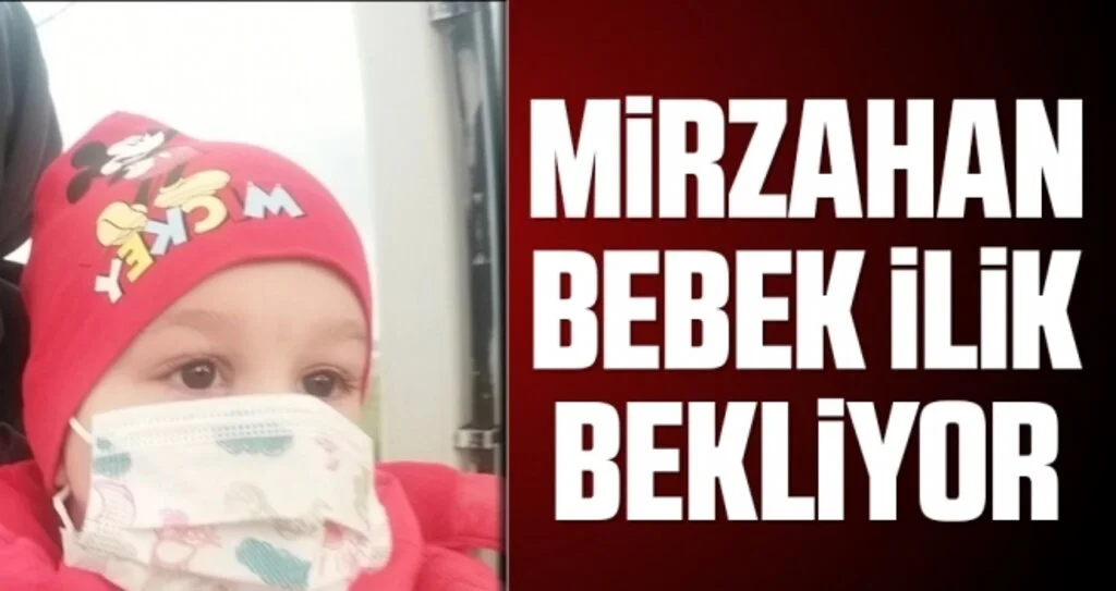 Mirzahan bebek ilik bekliyor