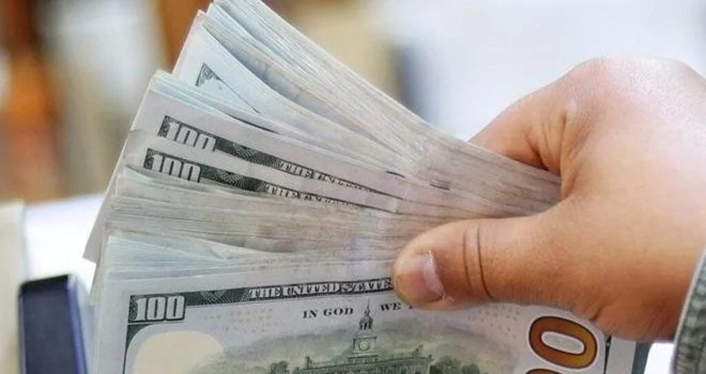 Net rezerv sert düştü, vatandaş döviz almaya devam etti