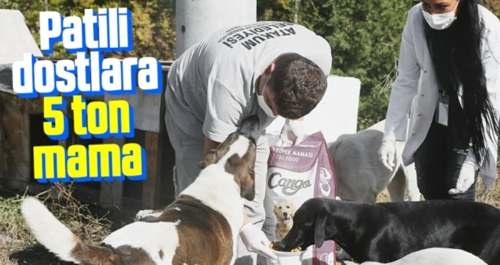 Patili dostlara 5 ton mama