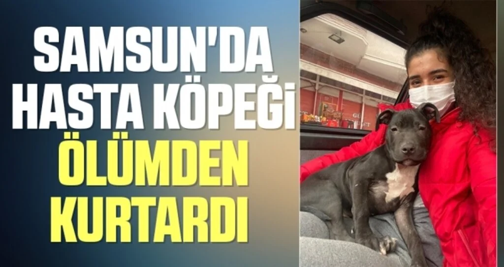 Samsun'da Hasta köpeği ölümden kurtardı