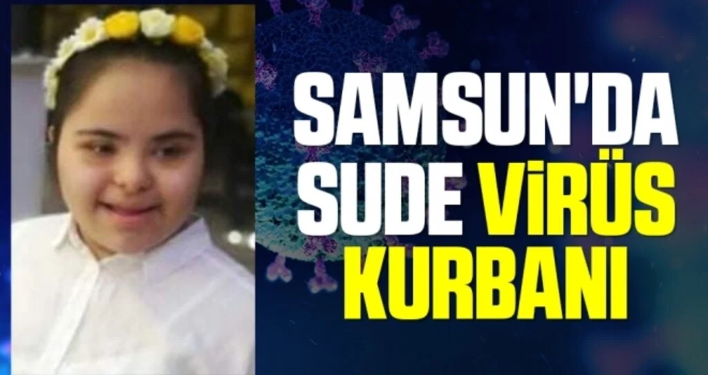 Samsun'da Sude virüs kurbanı 