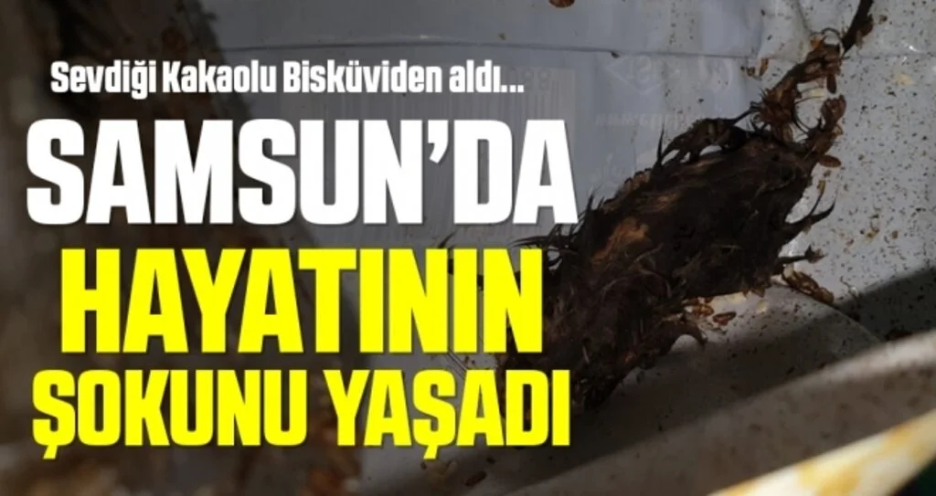 Sevdiği Kakaolu Bisküvilerden Aldı... Samsun'da Hayatının şokunu yaşadı 