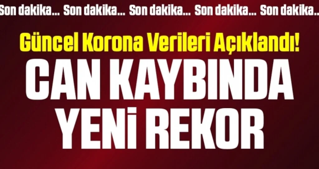 Son dakika… Güncel corona verileri açıklandı! İşte 11 Aralık tablosu