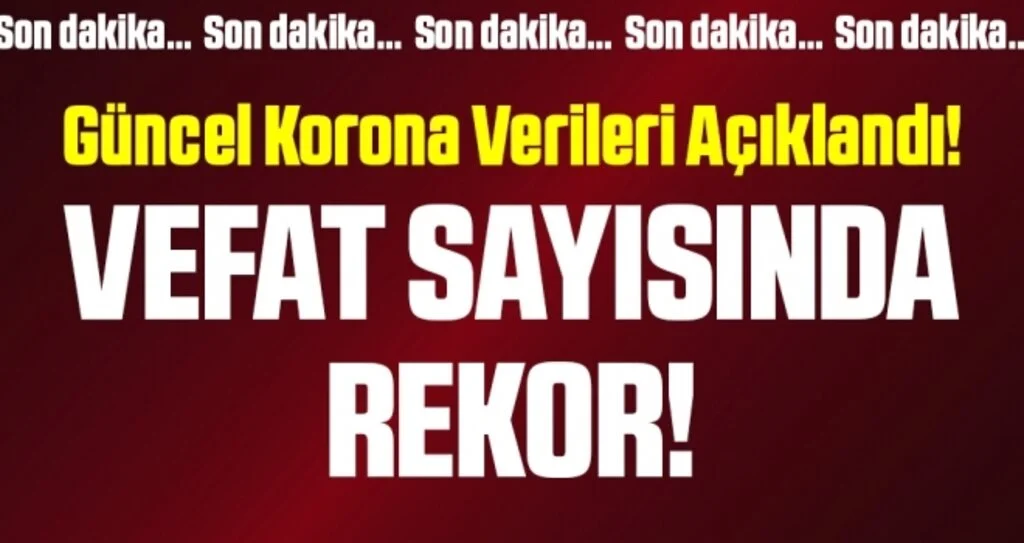 Son dakika… Güncel corona virüsü verileri açıklandı! İşte 1 Aralık tablosu