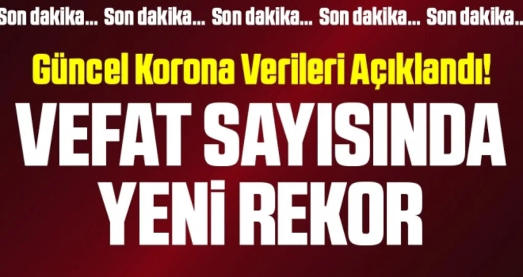 Son dakika… Güncel corona virüsü verileri açıklandı! İşte 7 Aralık tablosu