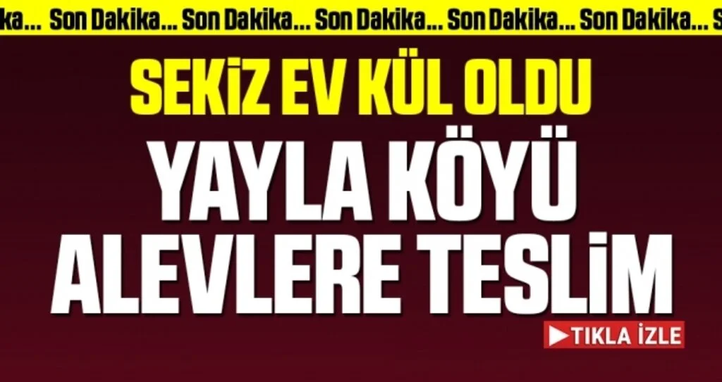 Son dakika… Rize’de korkutan yangın
