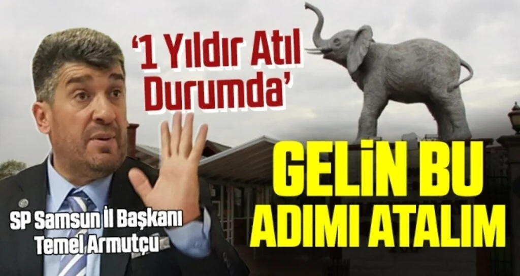 SP Samsun İl Başkanı Temel Armutçu: Eski Hayvanat Bahçesi bakım merkezi olsun 
