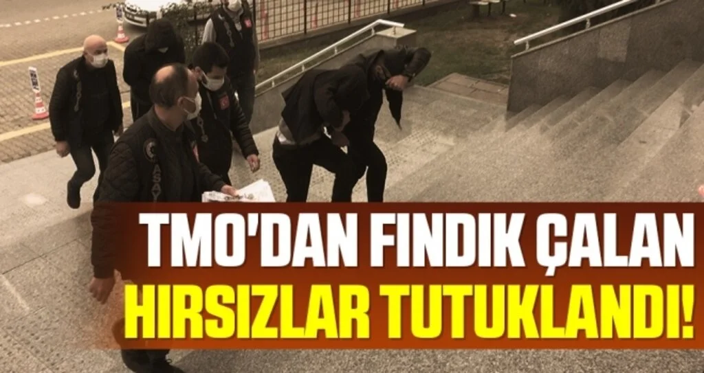 TMO'dan Fındık Çalan Hırsızlar Tutuklandı!