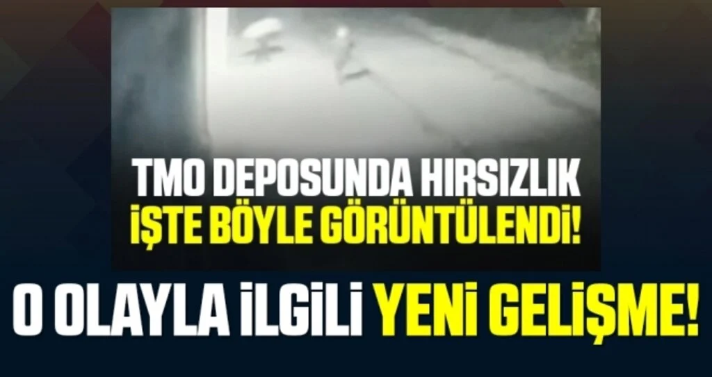 TMO'dan Fındık Çalanlar Yakalandı
