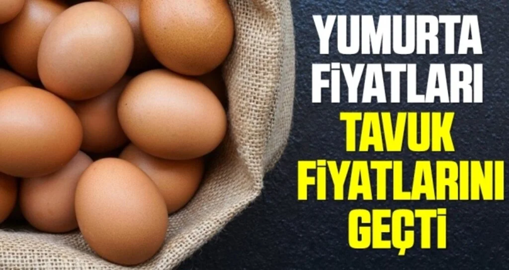 Yumurta fiyatları, tavuk fiyatlarını geçti