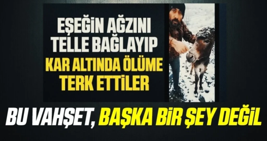 Ağzı telle sarılmış eşeği kurtaran adam konuştu: Bu vahşet, başka bir şey değil