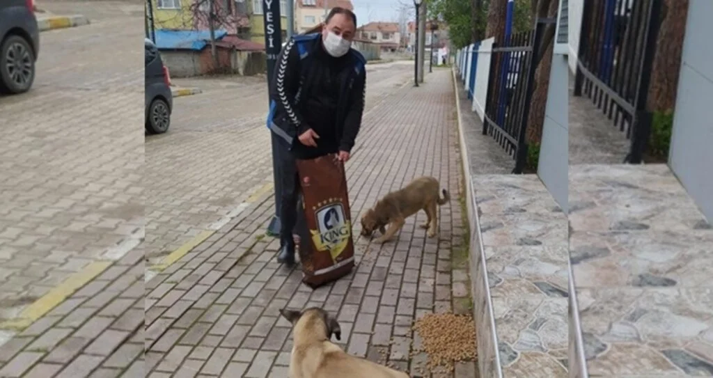 Alaçam'da can dostlar unutulmuyor