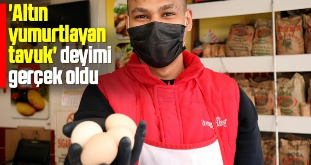'Altın yumurtlayan tavuk' deyimi gerçek oldu