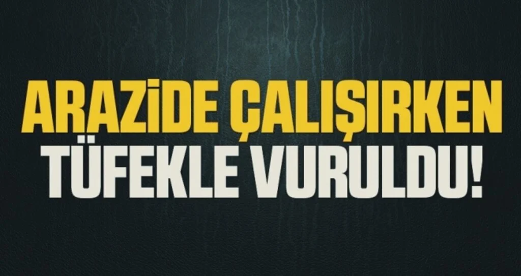Arazide çalışırken tüfekle vurularak hastanelik oldu