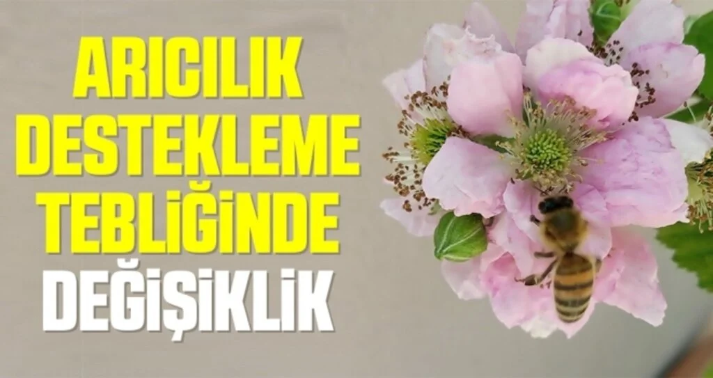 Arıcılık destekleme tebliğinde değişiklik
