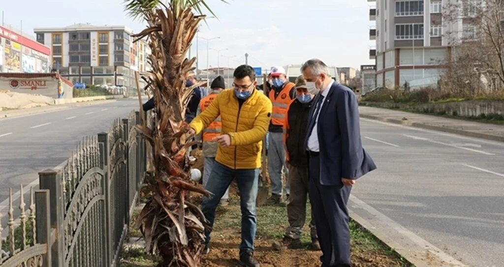 Bafra'da orta refüj 'yeşilleniyor'