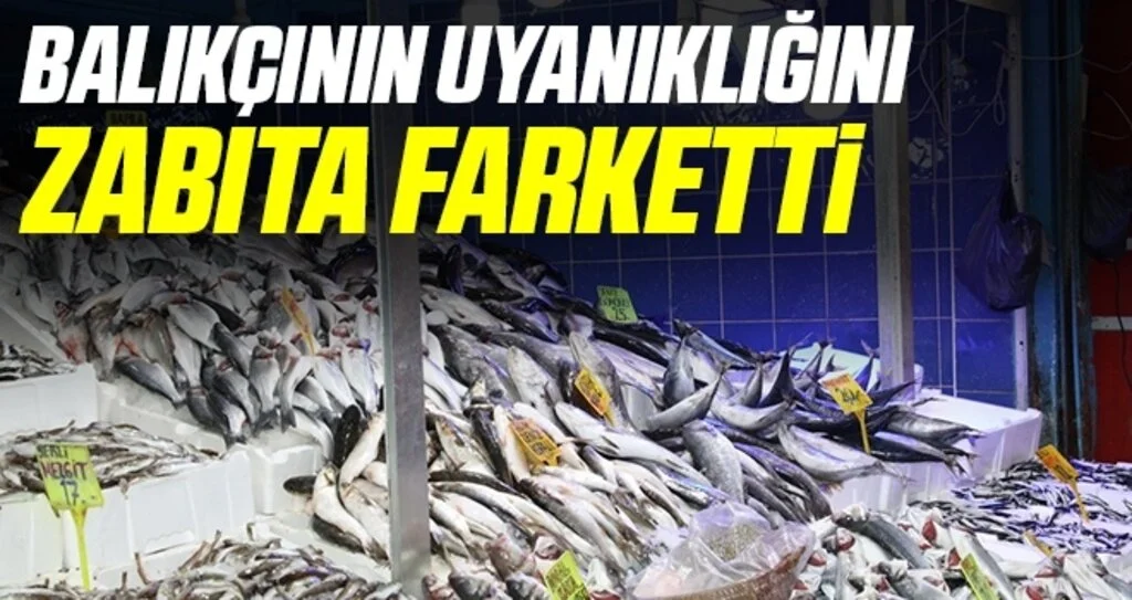 Balıkçının uyanıklığını zabıta farketti 