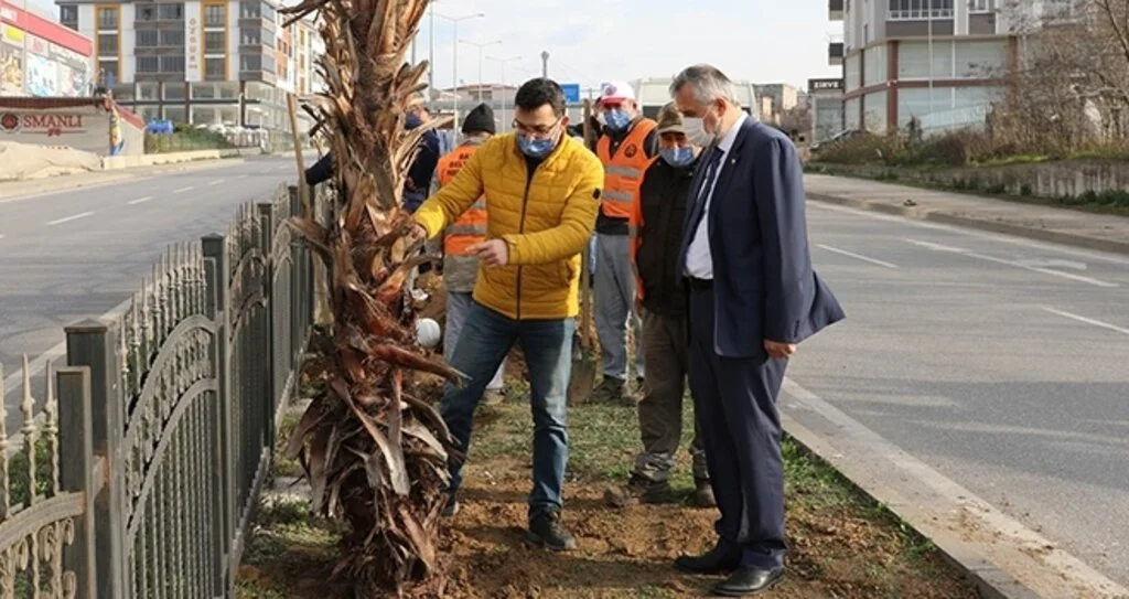 Başkan Kılıç: “İnsanlar Bafra’mızın dış görünümü ile ilgili güzel intibalara sahip olsun istiyoruz”
