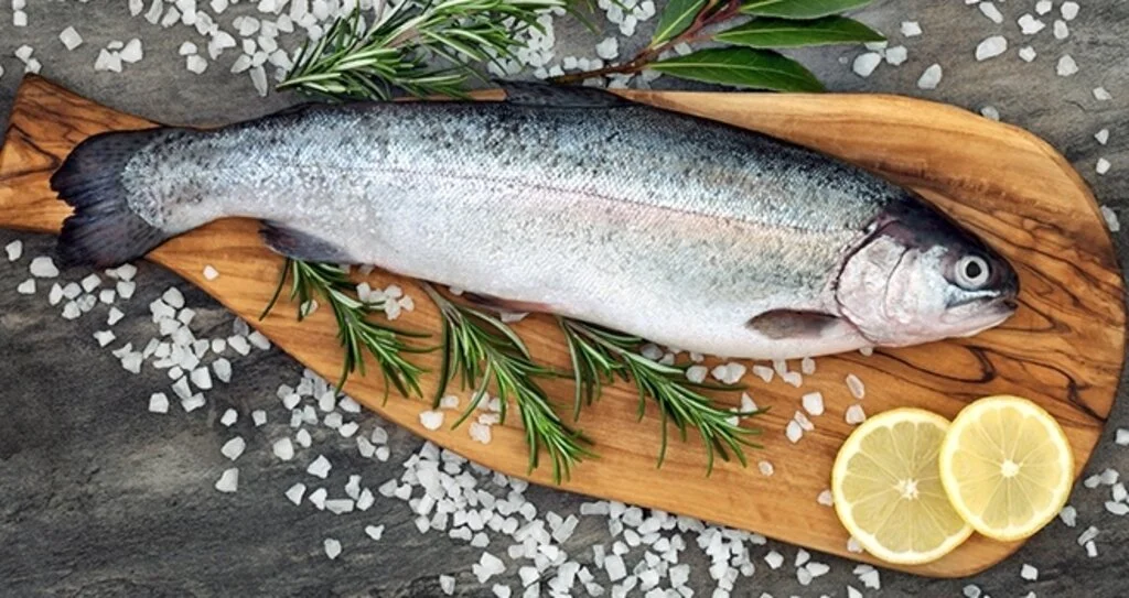 Dünyanın Karadeniz somonuna talebi ikiye katlandı