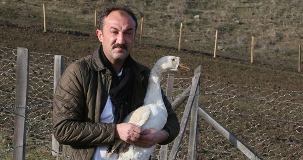 Gurbetten dönüp şehir stresinden uzaklaşmak için kaz çiftliği kurdu