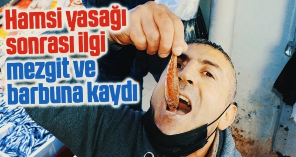 Hamsi yasağı sonrası ilgi mezgit ve barbuna kaydı