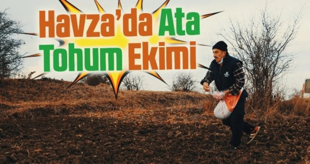 Havza'da Ata Tohum Ekimi