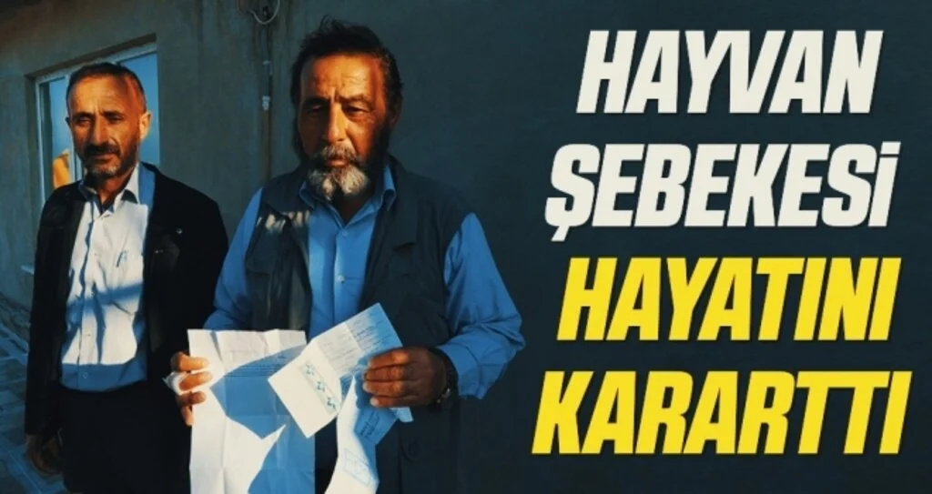 Hayvan Şebekesi hayatını kararttı 