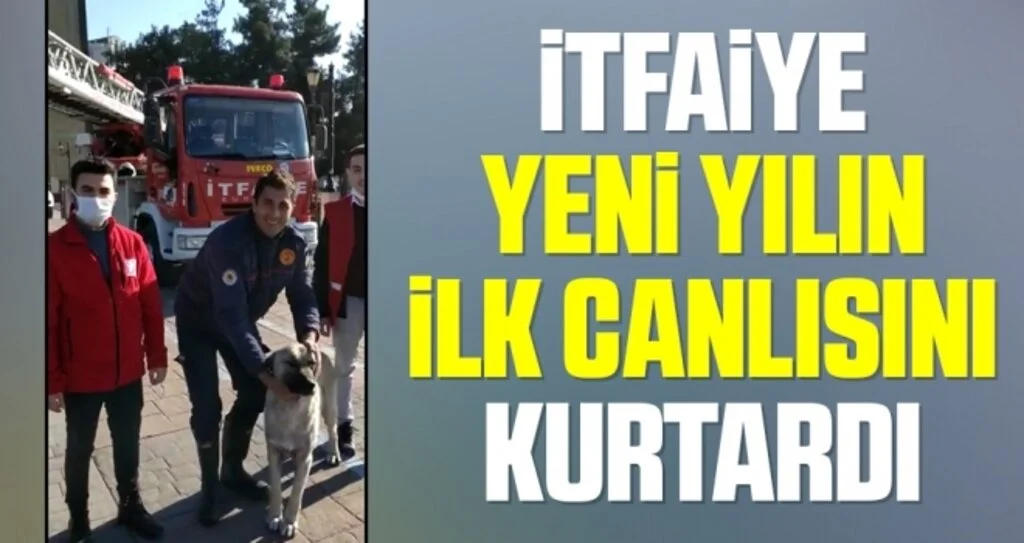 İtfaiye yeni yılın ilk canlısını kurtardı