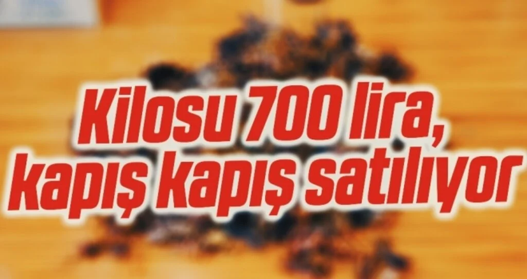 Kilosu 700 lira, kapış kapış satılıyor