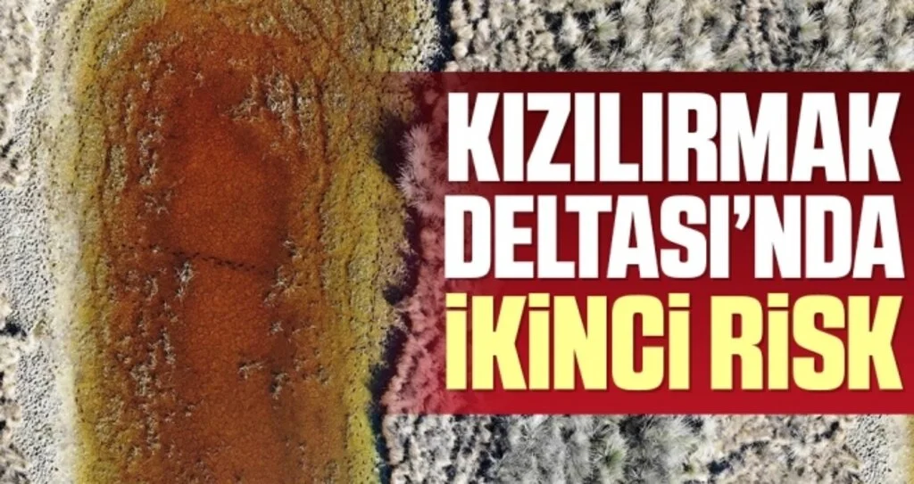 Kızılırmak Deltası’nda ikinci risk: Deniz suyu
