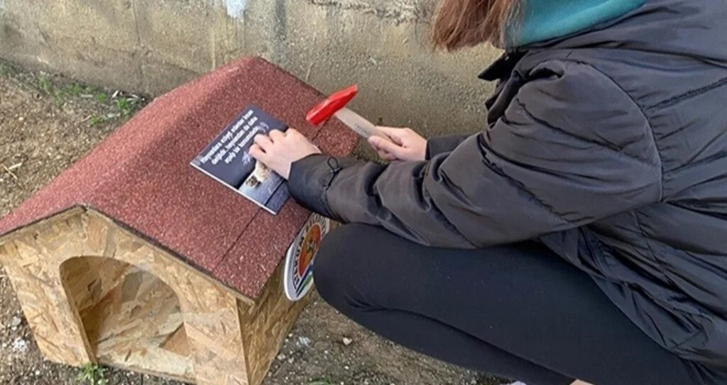 Öğrencilerden “Kedi Park Projesi"