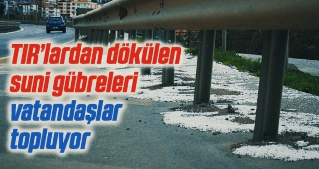 Samsun-Ankara kara yolunda tırlardan dökülen suni gübreleri vatandaşlar topluyor