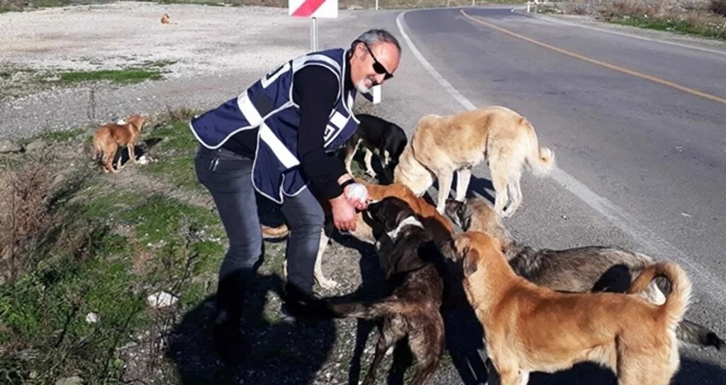 Samsun polisi sokak hayvanlarını unutmadı