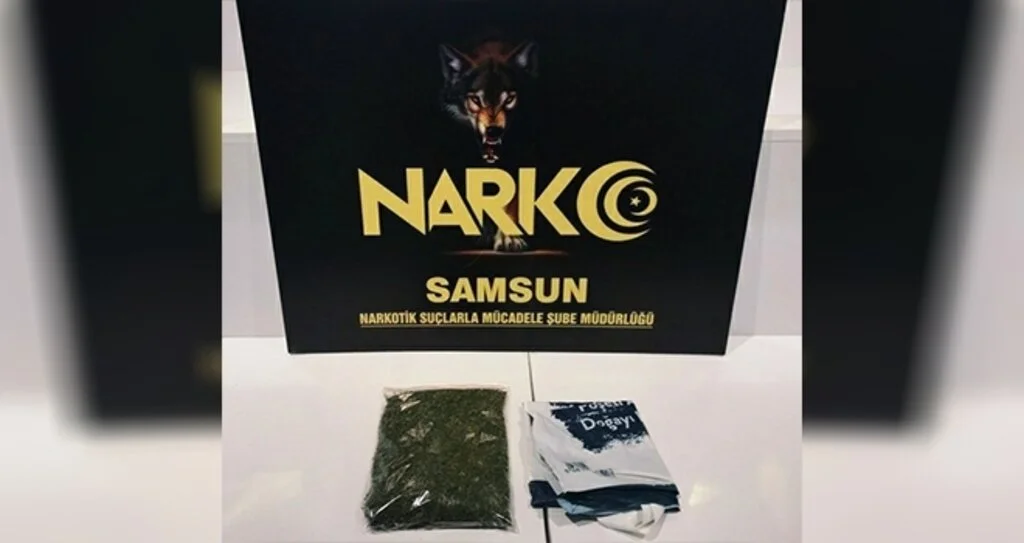 Samsun'da bonzai ile yakalanan şahıs gözaltına alındı