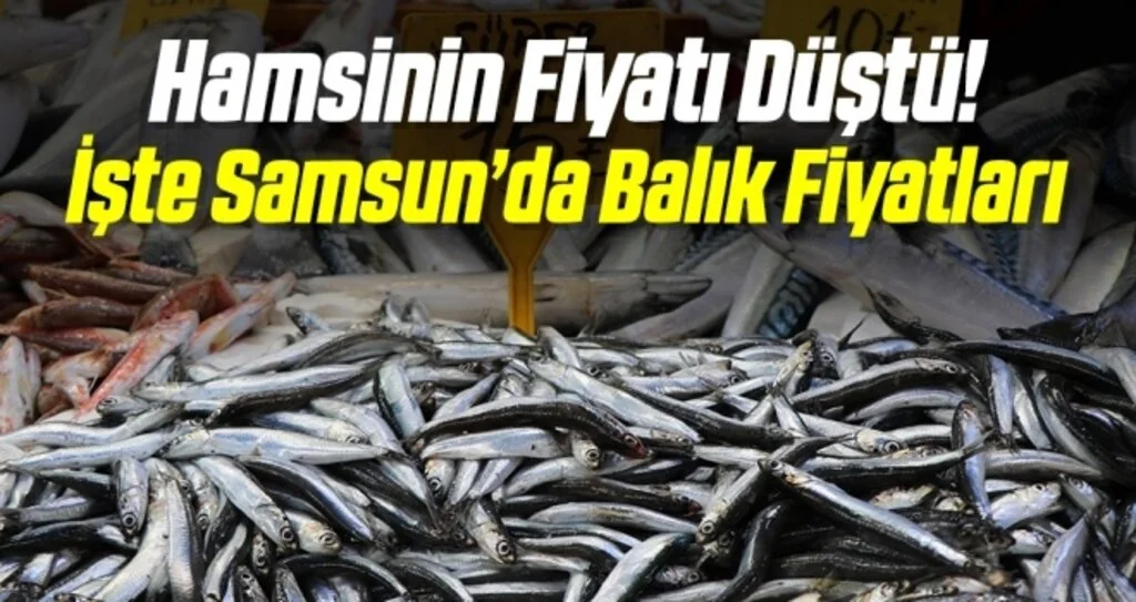 Samsun'da Hamsinin Fiyatı Düştü! İşte Balık Fiyatları