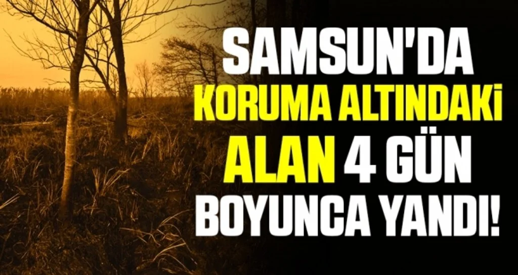 Samsun'da Koruma Altındaki Alan 4 Gün Boyunca Yandı!