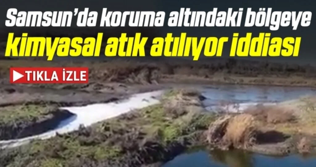 Samsun’da koruma altındaki bölgeye kimyasal atık atılıyor iddiası!